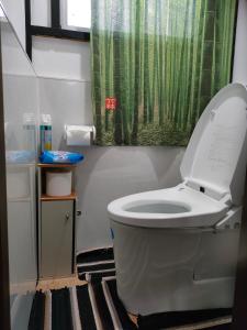 a bathroom with a toilet with a green shower curtain at MIROKU Share House in Mimiharachō +50 photos