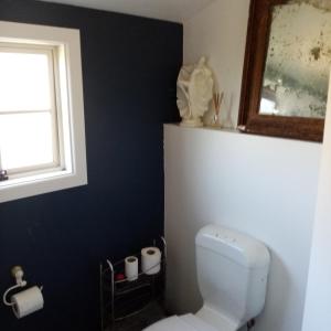 a bathroom with a white toilet and a window at Tahakopa Lodge - Cabin in Tahakopa