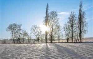 a group of trees in a snow covered field at Gorgeous Home In Waldthurn With Wifi in Waldthurn