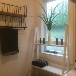 ギズボーンにあるLa Frontiere Boutique Accommodationの鉢植えの棚付きの窓のある部屋