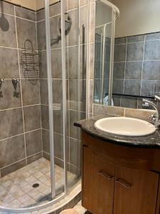 uma casa de banho com um chuveiro e um lavatório. em FernIvy Guest House em Pretoria