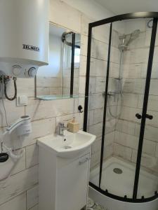 W łazience znajduje się prysznic, umywalka i toaleta. w obiekcie ZAGAJNIK Country Camp obok Suntago w mieście Grabce