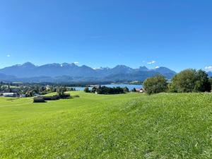 a green hill with a lake and mountains in the background at Best Butler Mountain Glory Apartment Bergblick I Küche I Terrasse I Parkplatz I Netflix I Seenähe in Füssen