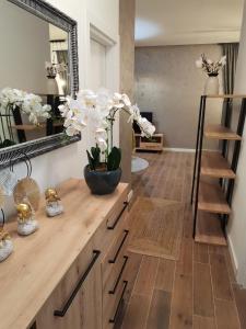 a room with a wooden counter with a mirror at Apartment Novi Park Bulatovic in Vrdnik