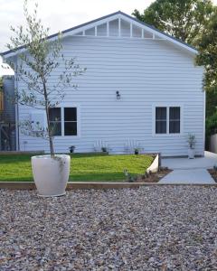 a tree in a white pot in front of a house at Seabirds Cottage in Coffs Harbour