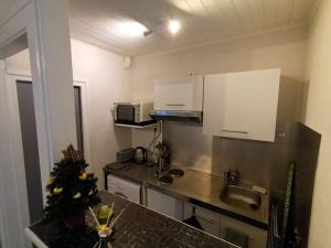 kuchnia z choinką świąteczną na ladzie w obiekcie Appartement duplex avec garage Annecy centre et Lac w Annecy