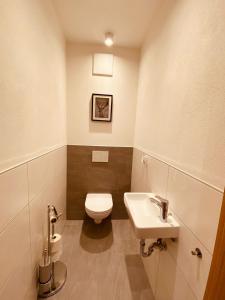 a small bathroom with a toilet and a sink at Ferienwohnung Talbach in Schladming +10 photos