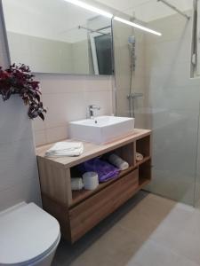 La salle de bains est pourvue d'un lavabo, de toilettes et d'un miroir. dans l'établissement Apartman Ana, à Novi Vinodolski