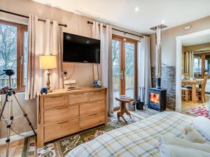 a living room with a television and a fireplace at Goshawk Lodge in Abercarn