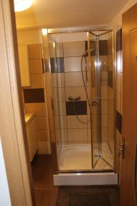 a shower with a glass door in a bathroom at Pensiunea Martinel in Timisu de Sus