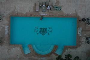 Aalia Jungle Retreat and Spa, Bandarjudh, Haridwar - Araiya Anthology内部或周边的泳池