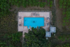 Aalia Jungle Retreat and Spa, Bandarjudh, Haridwar - Araiya Anthology内部或周边的泳池