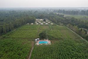 Aalia Jungle Retreat and Spa, Bandarjudh, Haridwar - Araiya Anthology内部或周边的泳池
