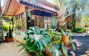 Aed väljaspool majutusasutust Baan Suan Taboon Homestay