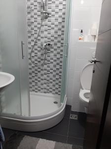 Cozy apartment Bjelašnica Ski Resort tesisinde bir banyo