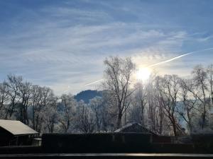 einen Blick auf Bäume und die Sonne am Himmel in der Unterkunft Murtal Ground in Knittelfeld