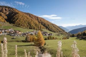 a village in a green field with mountains in the background at Bros Hof in Malles Venosta