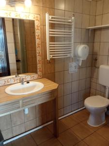 uma casa de banho com um lavatório e um WC em Málnás Szállás em Dunavarsány