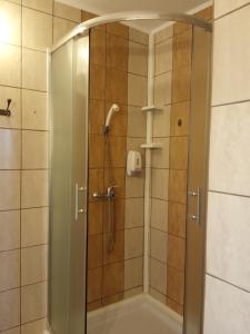 a shower with a glass door in a bathroom at Málnás Szállás in Dunavarsány