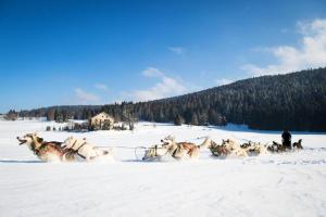 Babaute 7, studio typique au pied des pistes v zime
