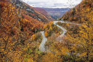 Príroda v okolí apartmánu