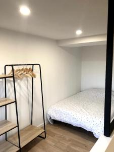 een slaapkamer met een stapelbed en een ladder bij Immeuble rénové au centre d'Auch. in Auch