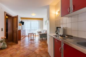 Kuchyňa alebo kuchynka v ubytovaní Guest House Agava