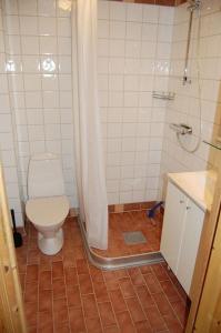 uma pequena casa de banho com WC e chuveiro em Cabin in Bruksvallarna em Bruksvallarna