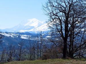 ein Baum auf einem Hügel mit einem schneebedeckten Berg in der Unterkunft fuga sui sibillini in Gualdo di Macerata