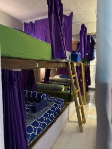 a group of bunk beds in a room with purple and green at Haadrin Fellini Home in Haad Rin +21 photos