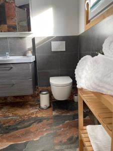 a bathroom with a toilet and a sink at Chalet Maya in Schladming