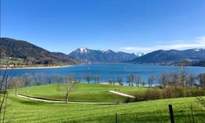 a green field with a view of a lake and mountains at Apartment Kaltenbrunn Serviced Apt mit Seeblick am Tegernsee Business & Long Stay only in Gmund am Tegernsee