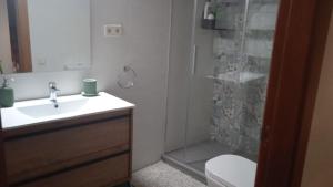 uma casa de banho com um chuveiro, um lavatório e um WC. em Ca de Blasi em Taull