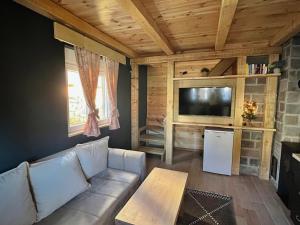 un soggiorno con divano e TV di Apartman Kruna a Kolašin