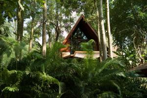 a tree house with a bench in the forest at Kenaray Farmstay riverside in Kaeng Krachan