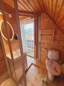 a bathroom with a toilet and a sink at Apartament Rita in Godziszka