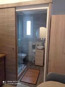 a bathroom with a shower and a toilet and a sink at Maisonnette A Santa Ghjulia entre Mer & Montagne in Volpajola +18 photos