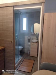 a bathroom with a shower and a toilet and a sink at Maisonnette A Santa Ghjulia entre Mer & Montagne in Volpajola