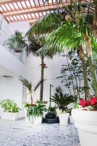 Vonkajšia záhrada v ubytovaní Coccoloba Suites Corralejo