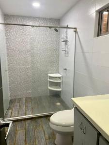 La salle de bains est pourvue de toilettes et d'une douche en verre. dans l'établissement Apartamento en el epicentro del Carnaval, à Barranquilla