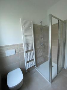 e bagno con doccia, servizi igienici e box doccia in vetro. di Cochetto's House in Malcesine a Malcesine