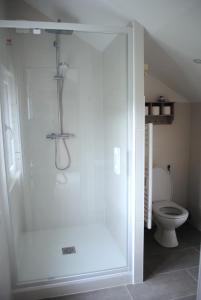 een douche in een badkamer met een toilet bij Le Clos de la Marquise in Amboise
