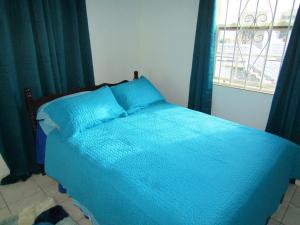 ein blaues Bett in einem Schlafzimmer mit einem Fenster in der Unterkunft Dover Apt 3 by the beach in the Gap in Christchurch