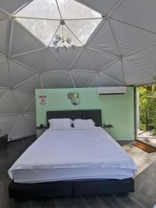 a bedroom with a large bed in a tent at Roble Coral Glamping in Sarapiquí