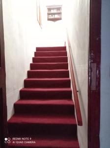 a stairway with red carpeting and a red stair case at Atlantis Apartmán 3 in Klášterec nad Ohří