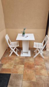 biały stół i krzesła z doniczką w obiekcie APPARTAMENTO LAKE GARDA ibiscus di Francia w mieście Desenzano del Garda