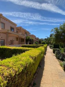 a row of hedges in front of a house at Balaia Residence in Albufeira