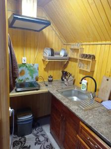 cocina con fregadero y encimera en Romashka Guest House, en Yablunytsya