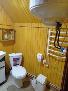 y baño con aseo y lavamanos. en Romashka Guest House, en Yablunytsya