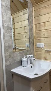 een badkamer met een witte wastafel en een spiegel bij Sadyba Dana in Tatariv